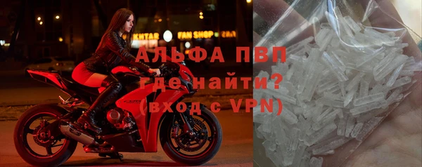 спайс Баксан