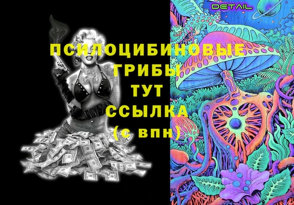 спайс Баксан