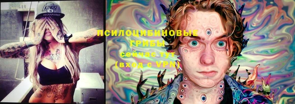 спайс Баксан