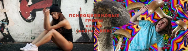 спайс Баксан