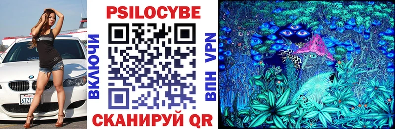 Купить закладки  Бахчисарай  Псилоцибиновые грибы Psilocybine cubensis 